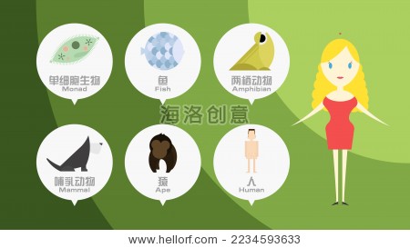 单细胞进化成人过程矢量图-科技,符号\/标志-海