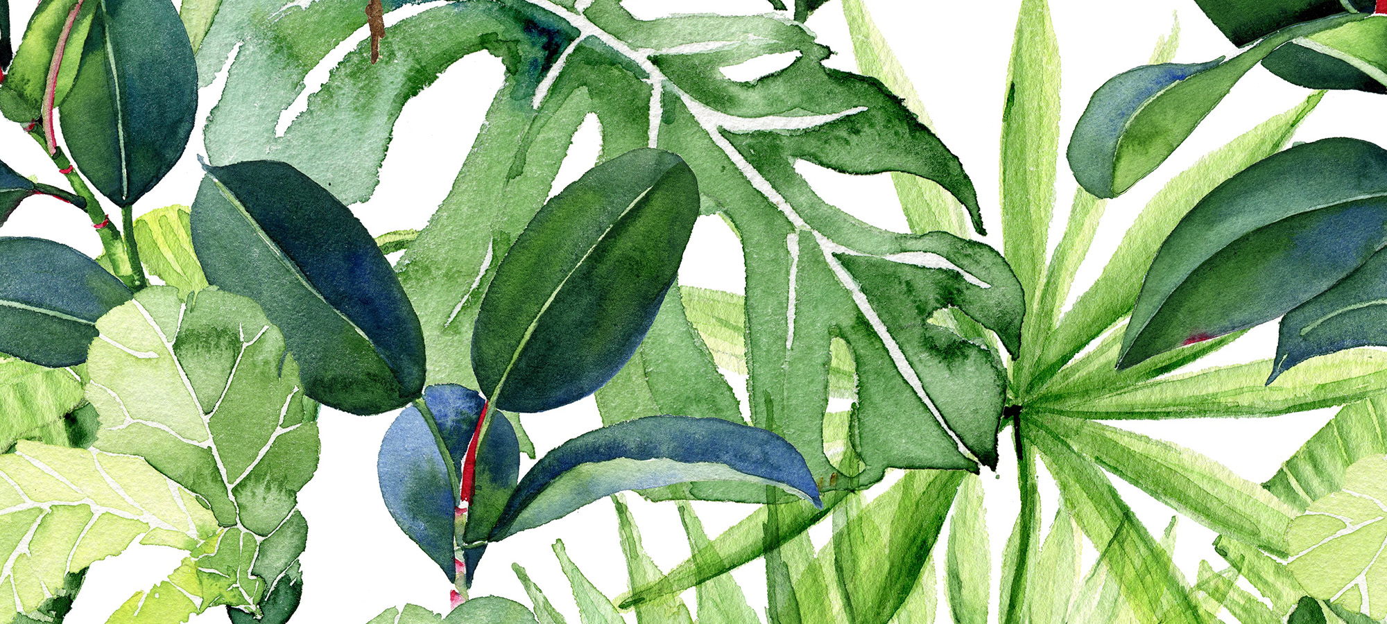 水彩热带植物图案