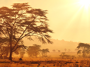 世界音乐-非洲音乐专辑