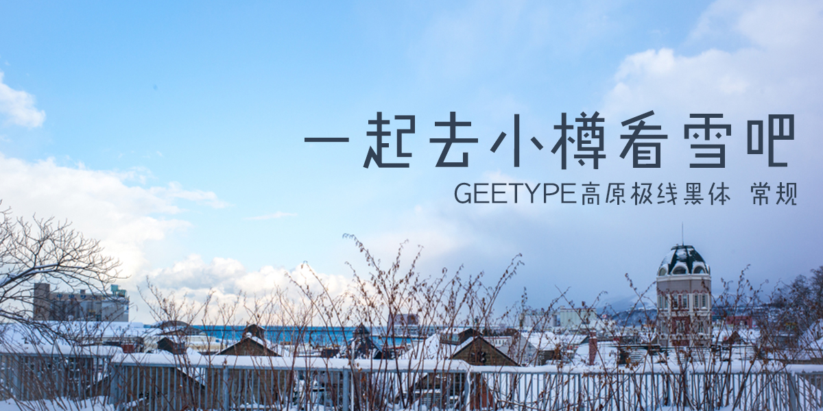 GEETYPE高原极线黑体 常规-01.jpg