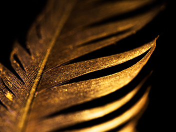 广告配乐-高级感音乐专辑