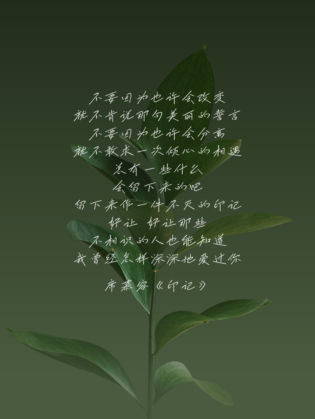 兵克烟云体 (10).PNG