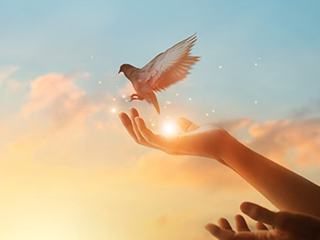 宣传片-希望音乐专辑