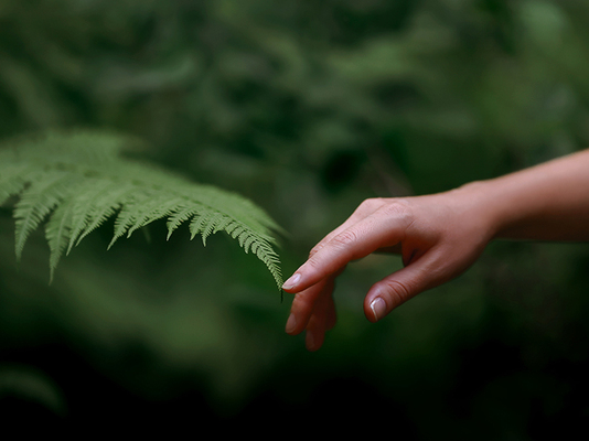 人文主题壁纸精选图片素材
