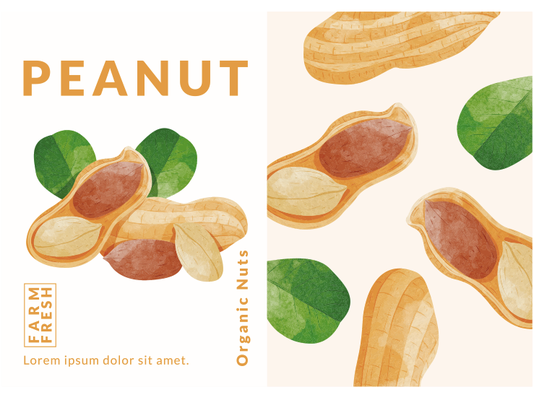 坚果包装图片素材