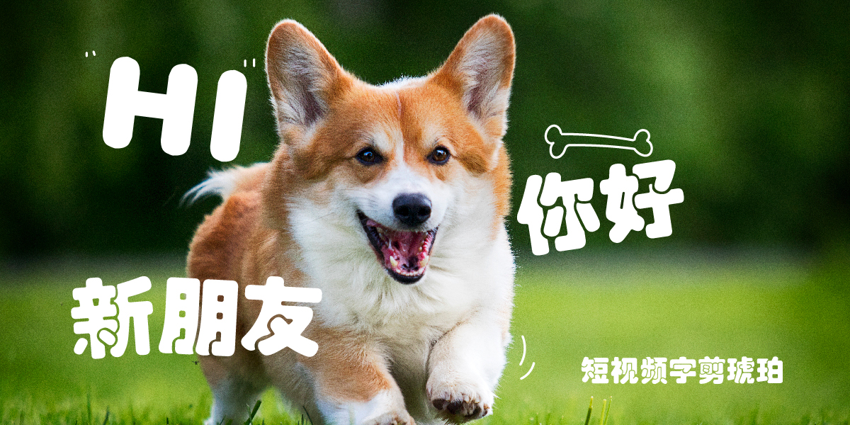 短视频字剪琥珀_画板 1 副本.jpg