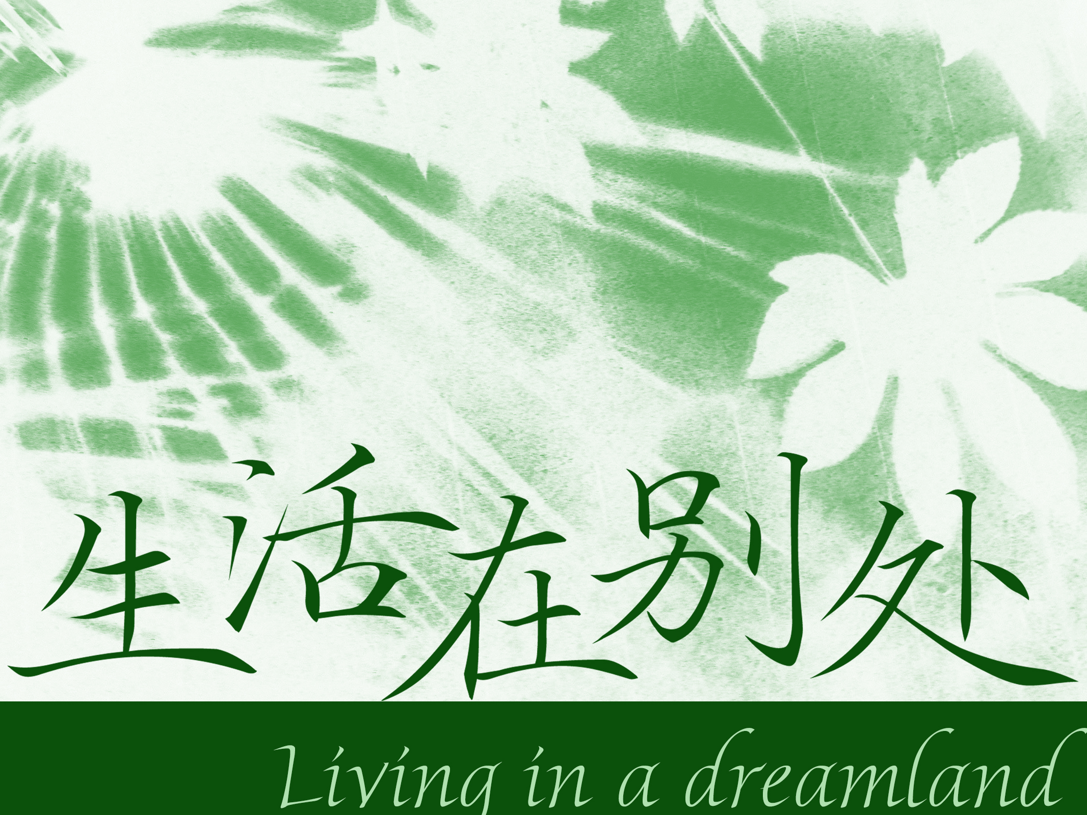 Aa秀楷.jpg
