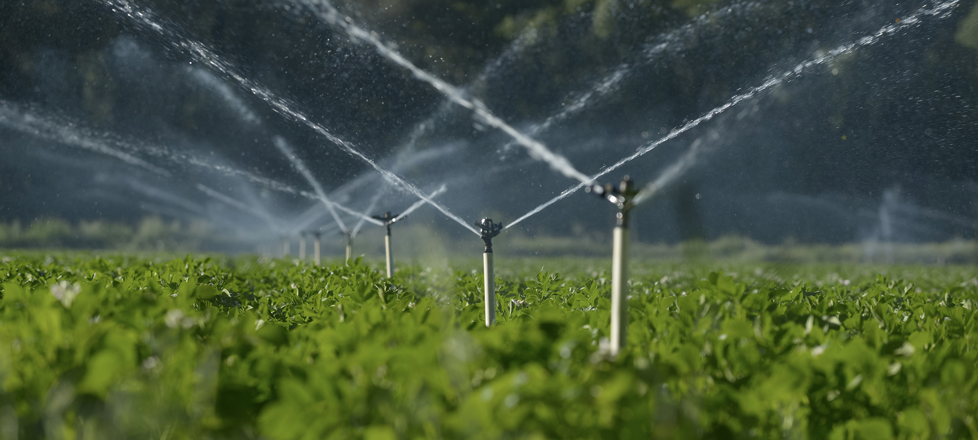科学灌溉