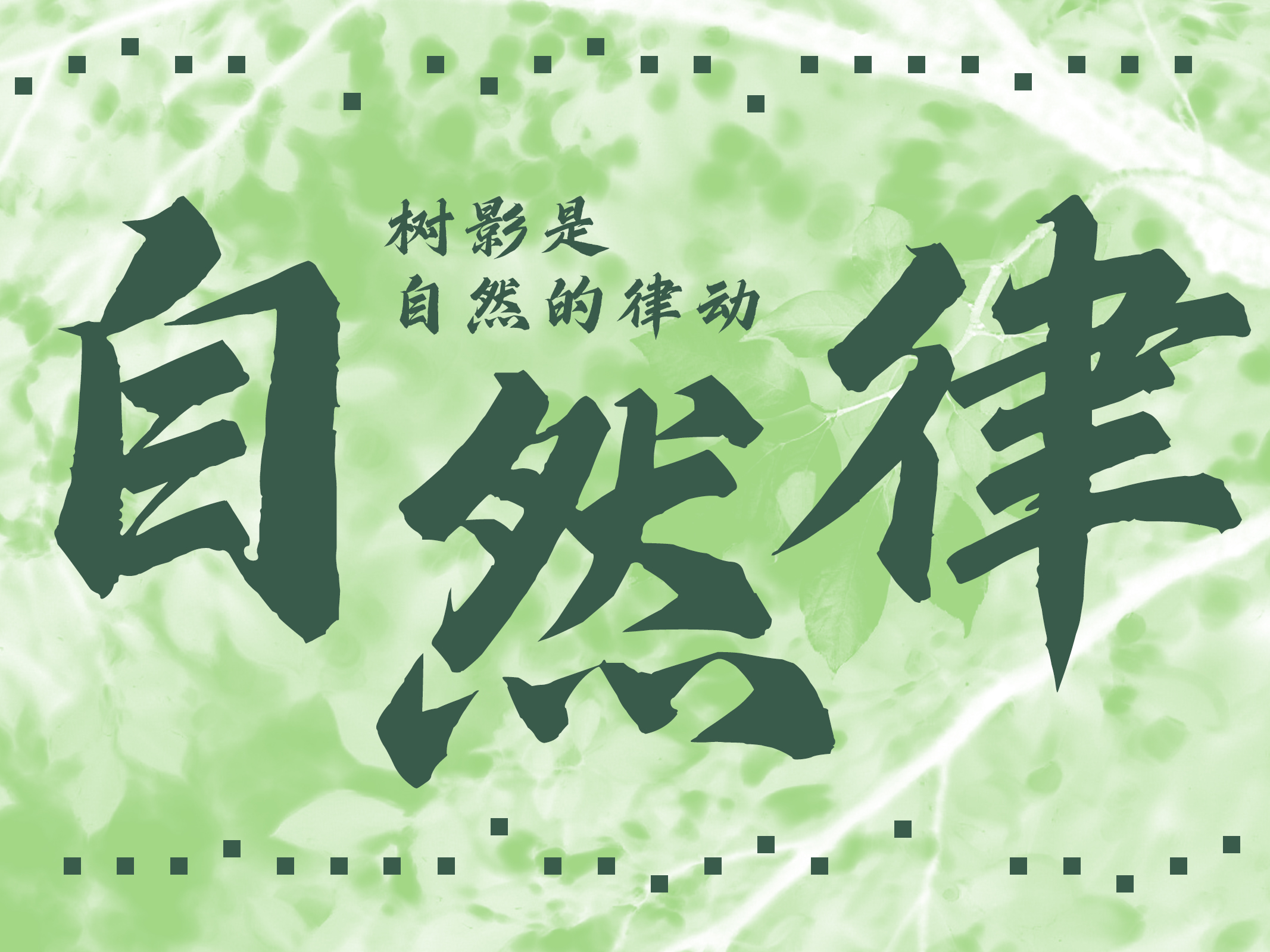 剑宗楷.jpg