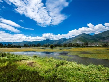 世界湿地日图片素材