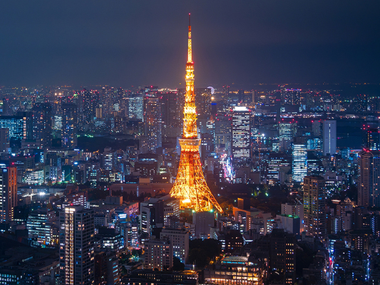 竖屏城市夜景精选视频