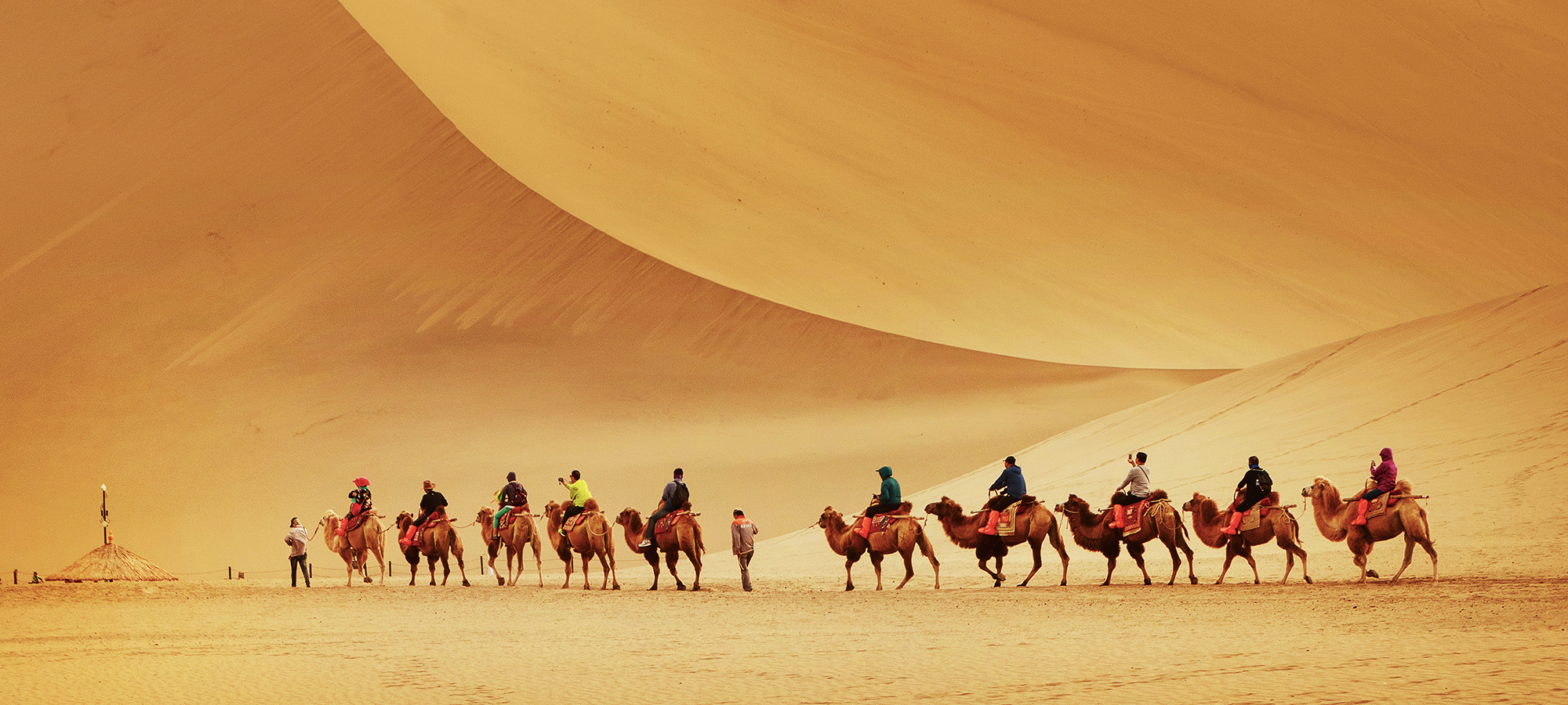 骆驼与沙漠