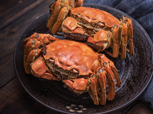 大闸蟹图片素材