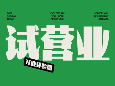 汉字之美文摘新宋简 超级宋