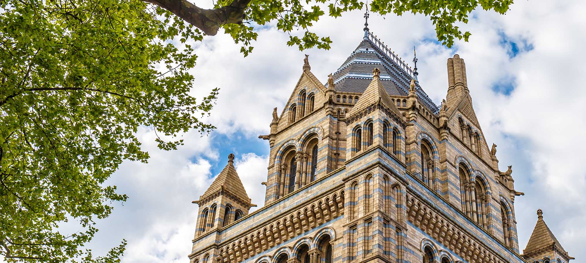 伦敦自然历史博物馆