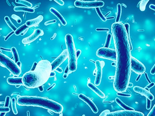 微距细胞图片素材