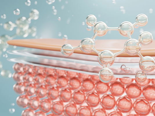 皮肤组织图片素材