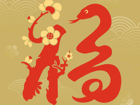 蛇年素材精选视频