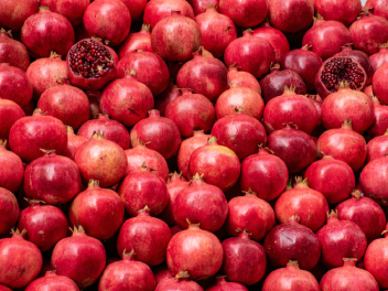 中秋时令水果图片素材